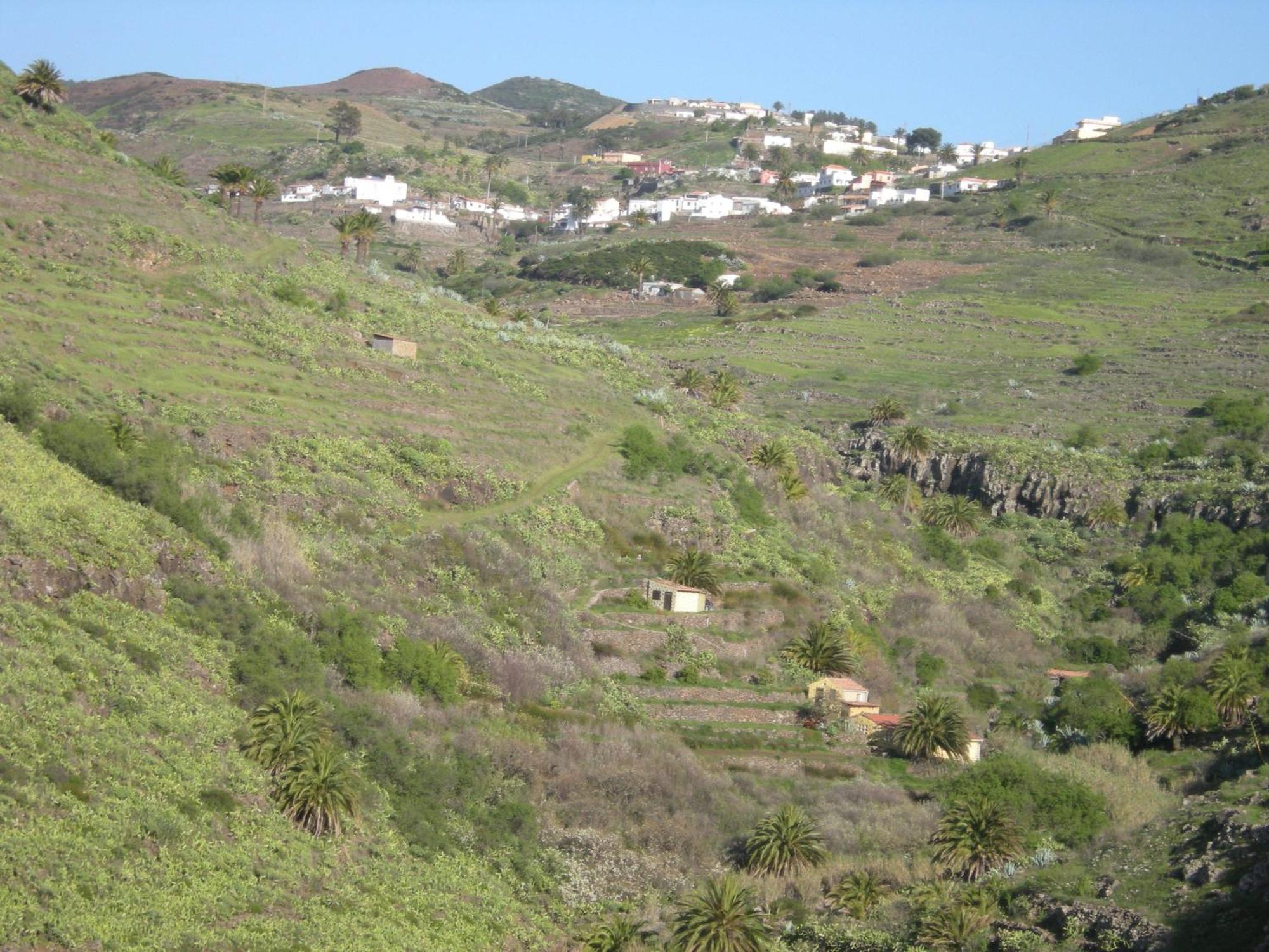 La Hoya del Cura Valle Gran Rey Exterior foto